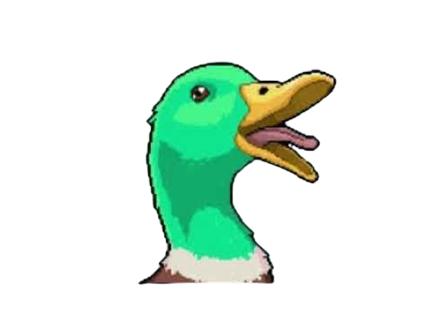 A colorful duck